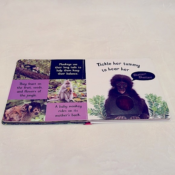 Noisy Animals My First Touch and Feel Sound Book - Picture 6 of 9